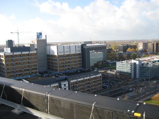 IMG 7036
