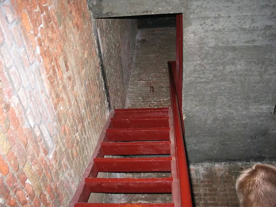 IMG 59235069377724