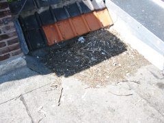 img 0865