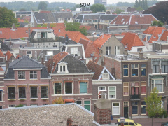 img 7240