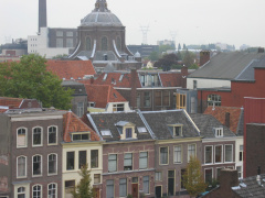 img 7241