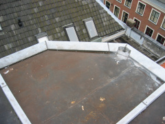 img 7249