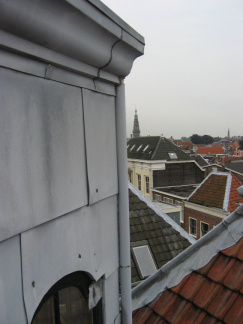 img 7259