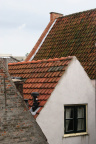 IMG 7763