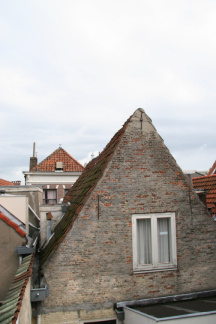 IMG 7764