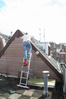 IMG 7782