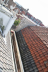 IMG 7791