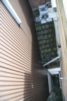 IMG 7794