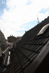 IMG 7797