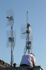 IMG 7841