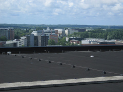 LUMC 75