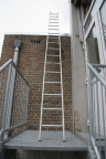 IMG 4436