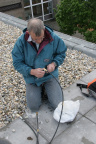 IMG 4448