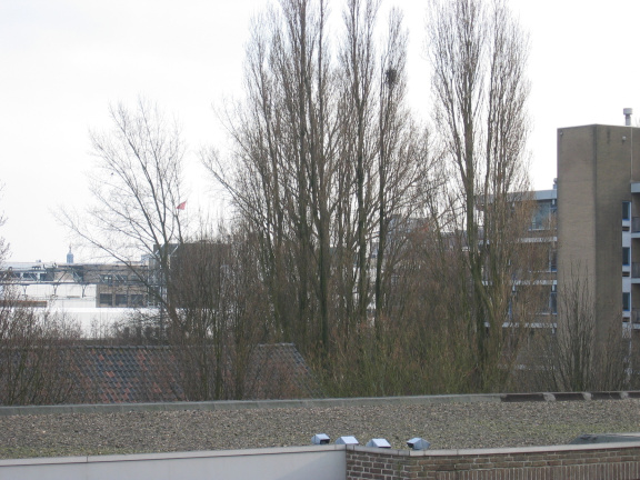 wissel survey0005