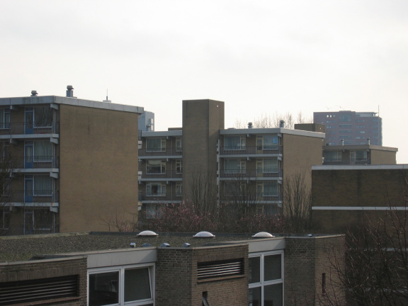 wissel survey0007