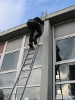 wissel survey0034