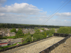 img 1252