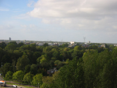 img 1261