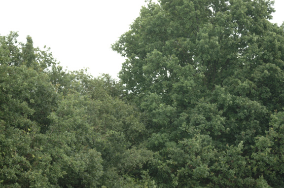 dscf2620