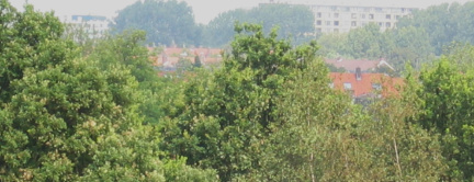 panorama grip0004