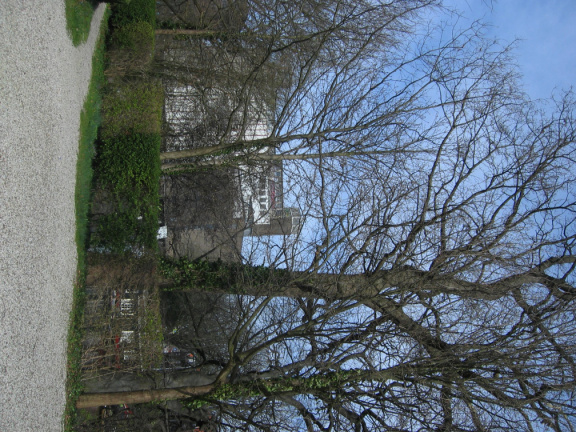 Groenesteeg04