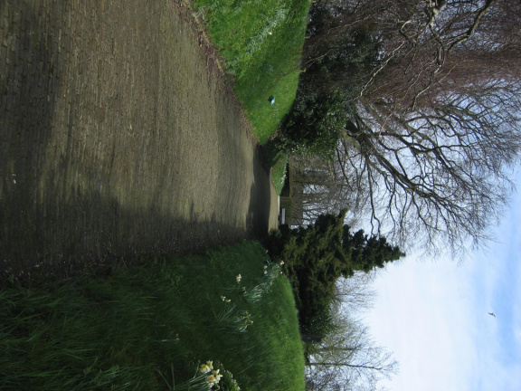 Groenesteeg07