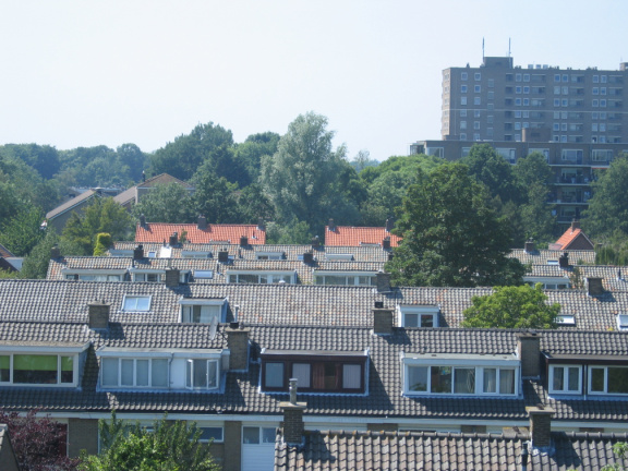 Hofwijck 66