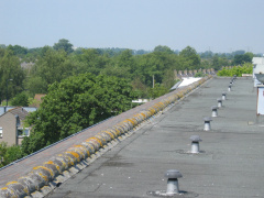 Hofwijck 71