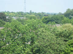 Hofwijck 76