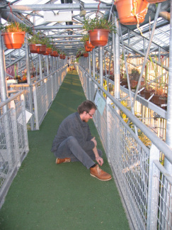 hortus 4