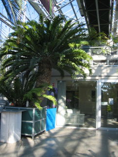hortus 28