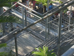 hortus 39