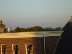 dsc00728
