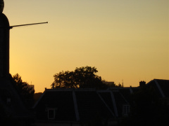 dsc00739