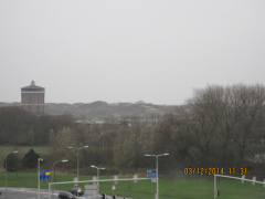 IMG 4452