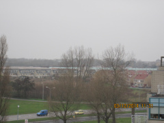 IMG 4454