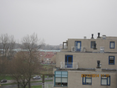 IMG 4455
