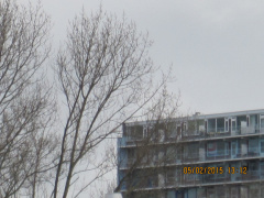 Jachthaven 021