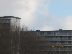 Jachthaven 025