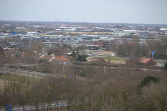 DSC 3667