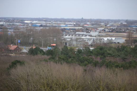 DSC 3669