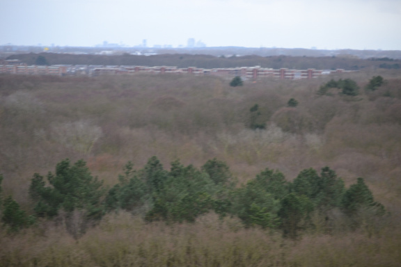 DSC 3690