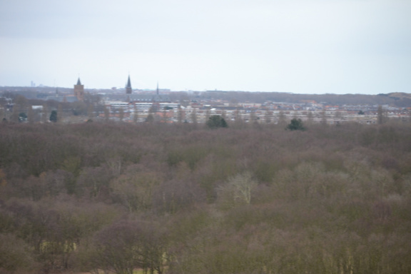 DSC 3693