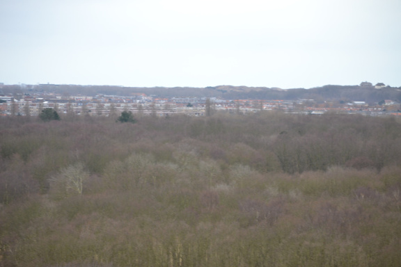 DSC 3694