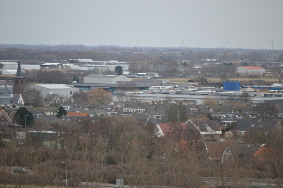 DSC 3550