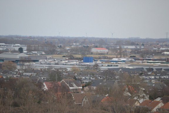 DSC 3551