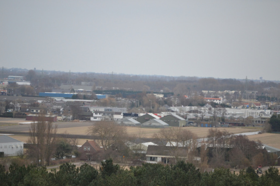 DSC 3559