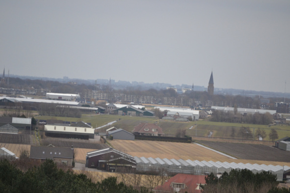 DSC 3563