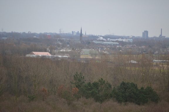 DSC 3576