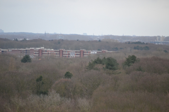 DSC 3591